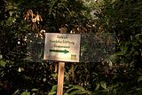 leipzig zoo-01_07_2011_gondwanaland_005